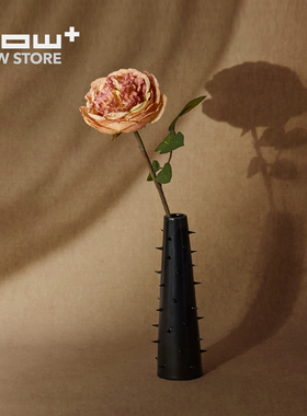 HOWstore Antibiotico Design仙人掌stanlio陶瓷花瓶礼物北欧