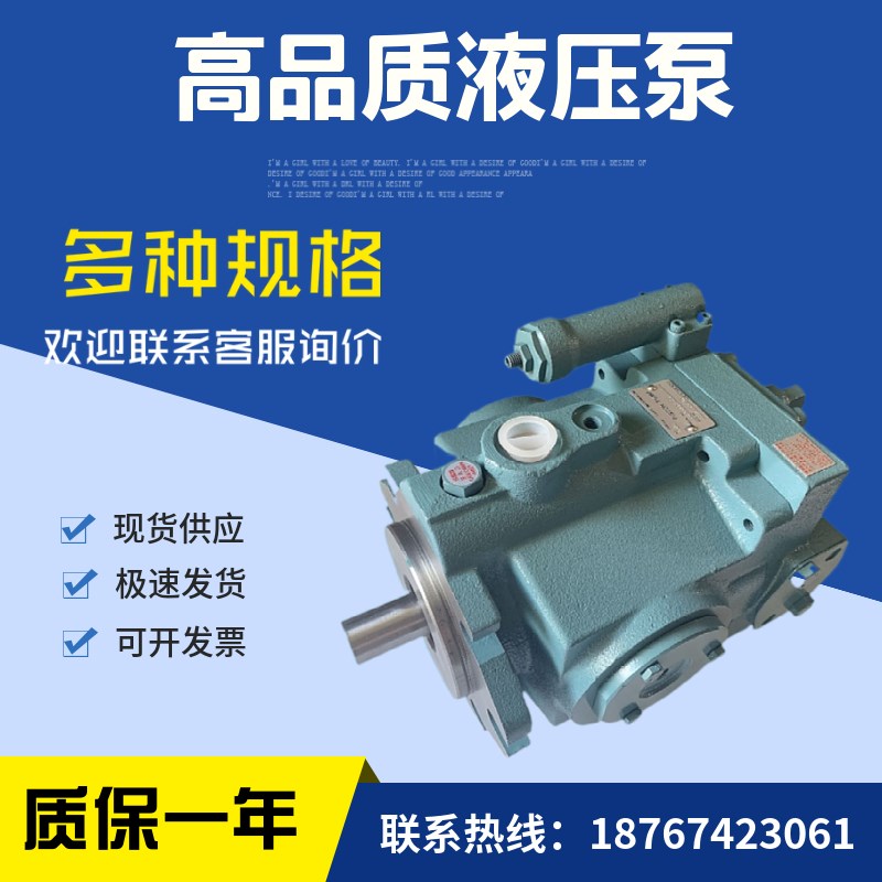 变量柱塞泵 V8A1RX-20 V15 vu23 v38 v50 A4/A3/A2/A1RX-95/30/20 - 实物图