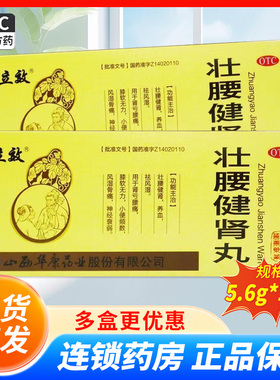 立效 壮腰健肾丸 5.6g*10丸/盒肾亏腰痛膝软无力小便频数QA