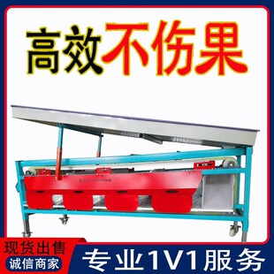 多功能分选选果机水果分拣分级机百香果橙K李子冬枣筛选机柑橘山