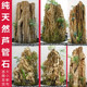 新品 假山盆景摆件芦管石上水麦管石摆件造景石头小摆件吸水小石头
