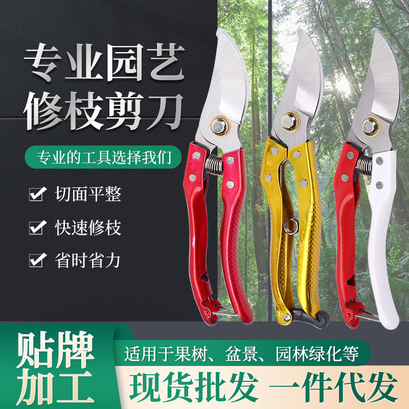 园艺修枝剪刀户外园林工具修枝剪