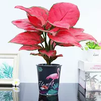 Geely Red [бассейн Firebird], включая бассейн