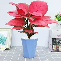 Geely Red [бассейн с водяным поглощением в форме Lantu], включая бассейн