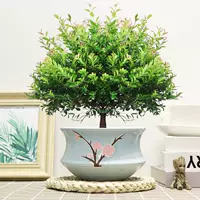 Пять -летняя свай чинан+синий порошок керамический бассейн и посадка в горшок