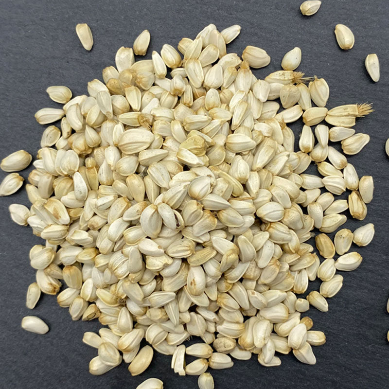 白花子天然红花籽仓鼠金丝熊松鼠鹦鹉鸽子粮食鸟粮400克全国包邮