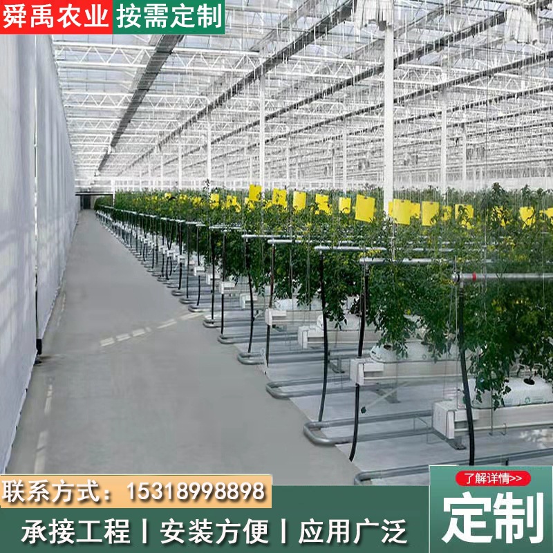 荷兰模式大棚山东厂家无土栽培设计施工智能温室 蔬菜种植温室棚 农机/农具/农膜 大棚钢管 原图主图