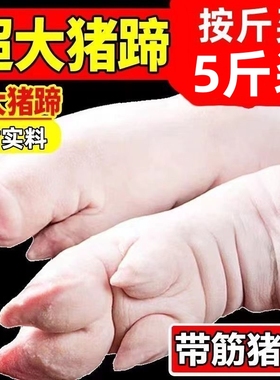 【顺丰包邮】5斤新鲜大号猪蹄整个大猪蹄大别山生态散养黑土猪