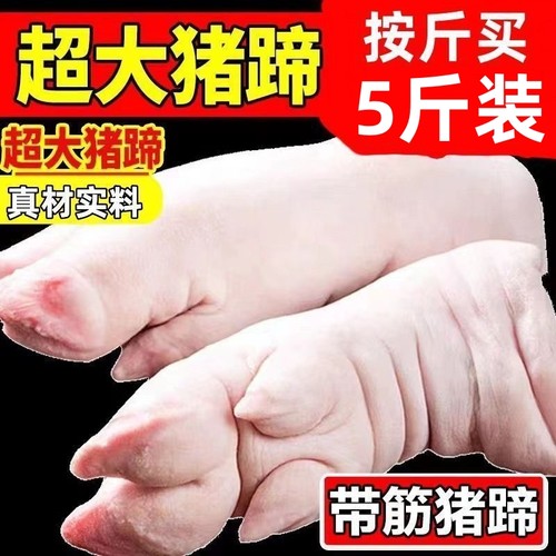 大猪蹄带筋猪蹄子猪脚猪手猪爪