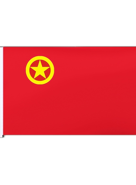 团旗学校悬挂板学生团宝汇