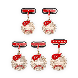 新语文化 红领巾奖章徽章个一星章奖章基础章红星章校园红领巾奖章学校雏鹰少先队红领巾奖争章奖章 团宝汇