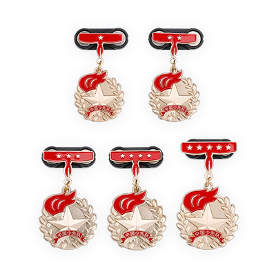 红领巾奖章星级章团宝汇