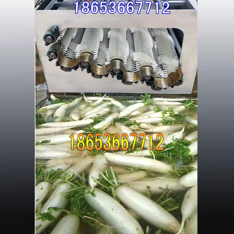 小型洗白萝卜机 洗红薯机 洗土豆机 白萝卜清n洗机 全自动清洗设