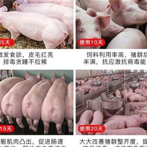 猪尔健饲料添加剂小猪催肥促生长拉骨架增肥猪儿健康防拉稀育肥猪