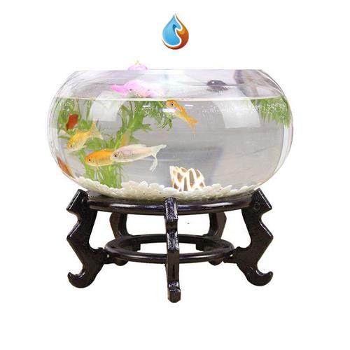 上面养花下面养鱼可以的盆栽鱼缸养鱼盆加厚家用植物水培透明乌