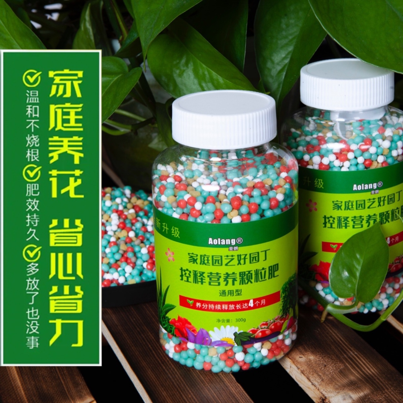 绿植花卉缓释肥发财树绿萝通用控释肥料植物颗粒花肥氮磷钾复合肥-封面