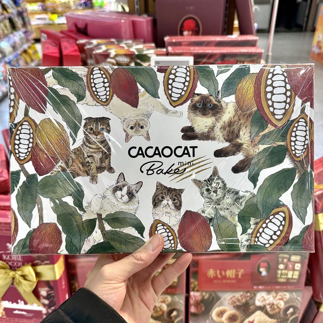 ole精品超市代购DADACA CACAOCAT巧克力味曲奇饼干礼盒288g(15枚)