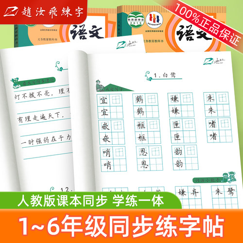 赵汝飞练字小学同步楷书字帖