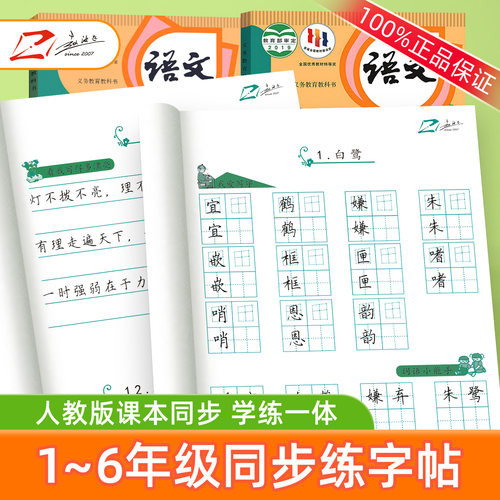 正版赵汝飞练字小学同步楷书