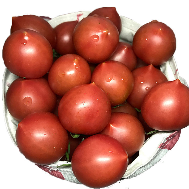 【自然熟】春桃小番茄新鲜蔬菜水果西红柿盐碱地小柿子铁桃圣女果在类目 水产肉类/新鲜蔬果/熟食, 新鲜蔬菜/蔬菜制品, 新鲜蔬菜, 番茄中 - 来自Buy2taobao.com提供专业的淘宝代购服务