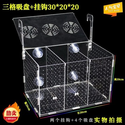 新款鱼缸隔离盒透明亚克力孵化盒孔雀鱼繁殖盒迷你鹦鹉鱼苗繁殖盒