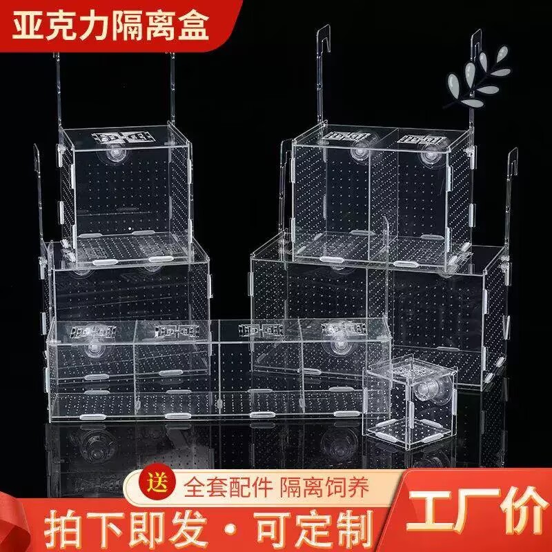 水族小鱼苗孵化繁殖箱多格水族鱼缸隔离盒亚克力隔离盒板鱼孵化盒