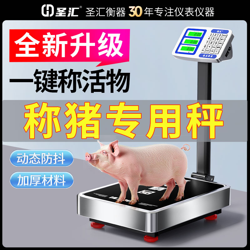 畜牧称猪专用高精度防抖电子秤