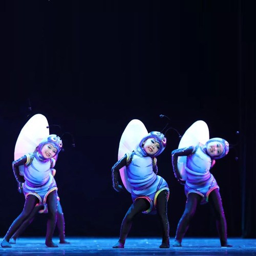 小荷风采儿童舞蹈动物表演服新品