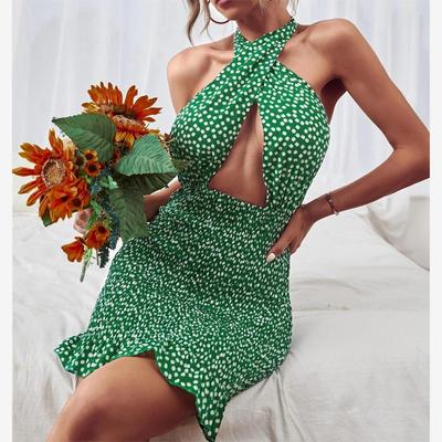 HalterMinShDPyLadCuto