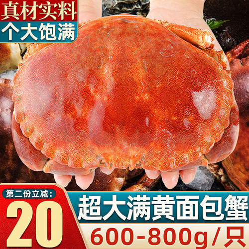 大面包蟹无黄包赔全网热销10万只