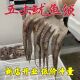 鱿鱼须批发新鲜冷冻北太浇汁鱿鱼原料头无冰铁板鱿鱼烧烤商用食材