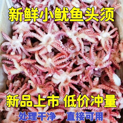 小鱿鱼须三去鱿鱼头新鲜冷冻无冰