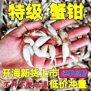 蟹钳生鲜冷冻醉蟹脚麻辣蟹钳生腌蟹钳花蟹钳小吃酒店食材商用