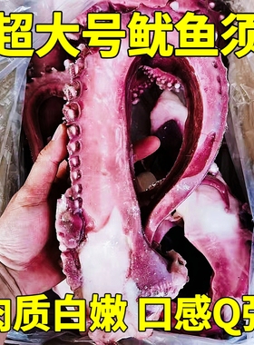 大章鱼须超大章鱼足特大鱿鱼须八爪鱼腿铁板烧烤刺身章鱼小丸子