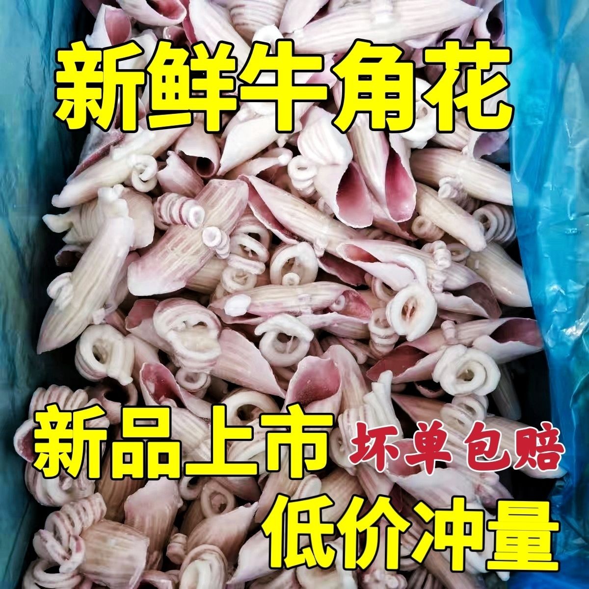 新鲜冷冻鱿鱼牛角花耳花耳尖鱿鱼卷鱿鱼花火锅烧烤炒商用食材批发