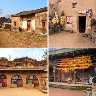 农村乡村直播间背景墙3d立体土路风景带货抖音快手主播背景布5d田园风光网红大气2022新款户外拍视频段子