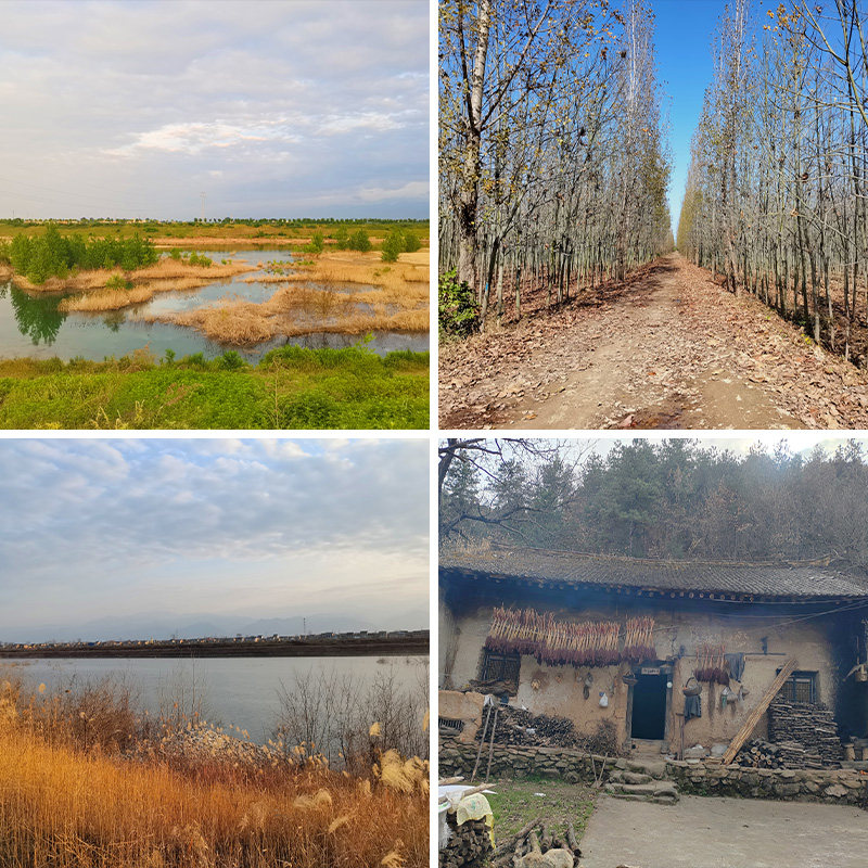 乡愁类直播背景布复古怀旧3d立体背景墙怀旧记忆背景图高级感8090年代老房子农村老家情感男女主播抖音拍视频