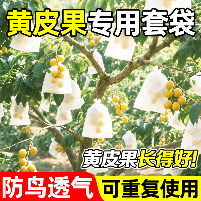 黄皮果套袋专用袋防鸟防虫透气网袋番石榴桃子葡萄蔬果通用保护袋