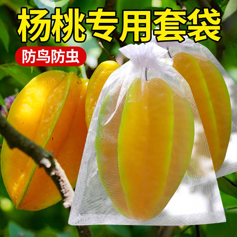 无花果无纺布套袋专用水果袋防虫防鸟葡萄桃子石榴草莓通用型网袋