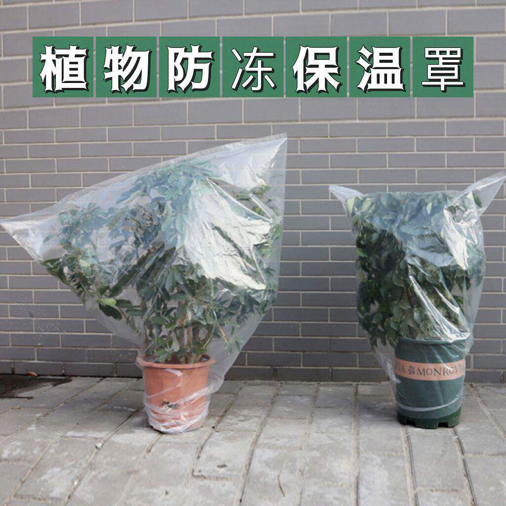透明加厚植物防寒罩冬季防冻保温保湿袋套盆栽绿植花卉过冬保护罩