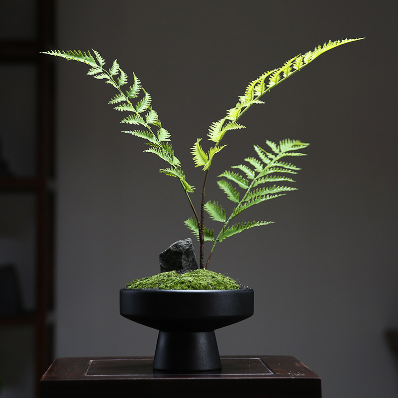 现代永恒苔藓微型景观摆件样板间咖啡桌盆景美化客厅办公桌花卉装