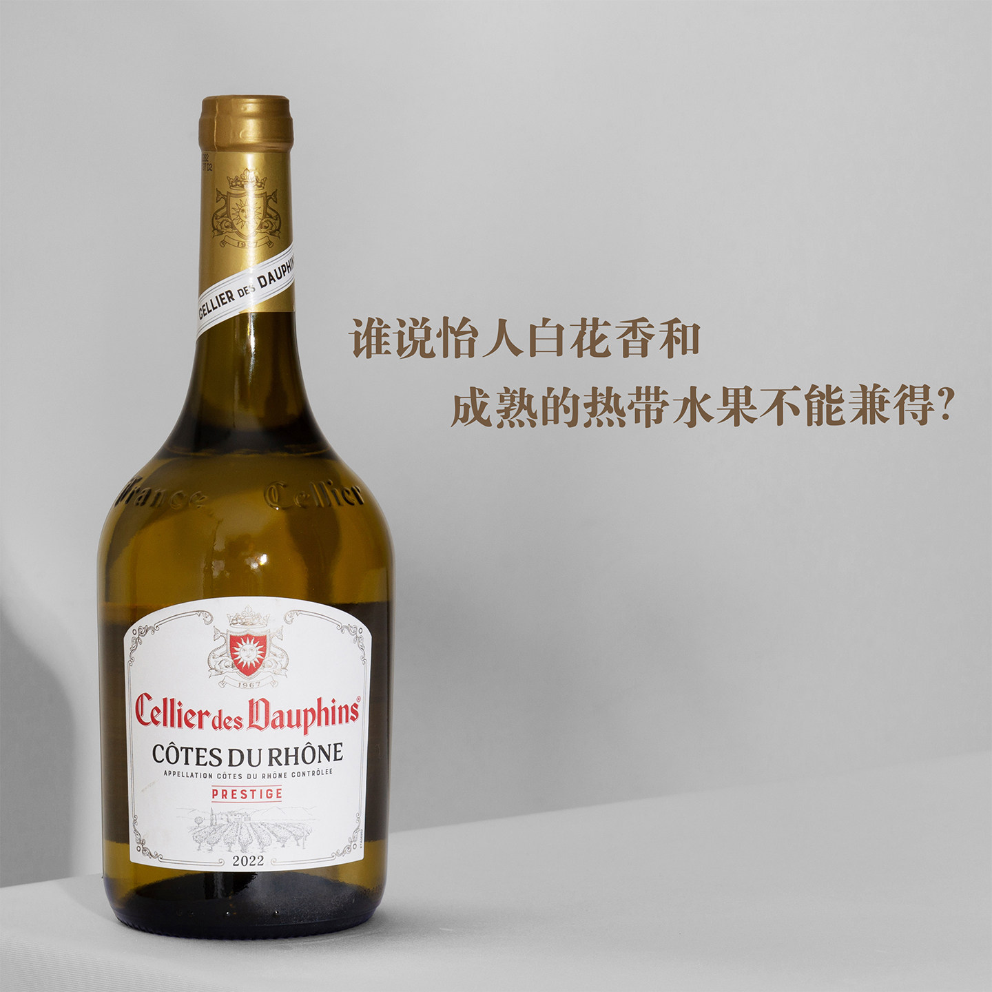 白花香和成熟热带水果交织！法国罗纳河谷皇子酒窖典藏干白葡萄酒