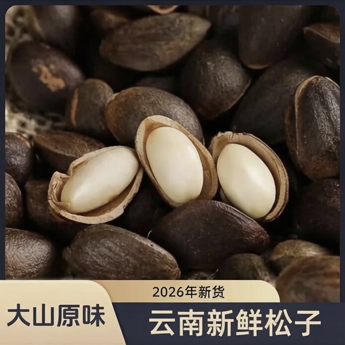 2026新货云南薄壳落水生松子原味四道筛选饱满颗粒清甜清香