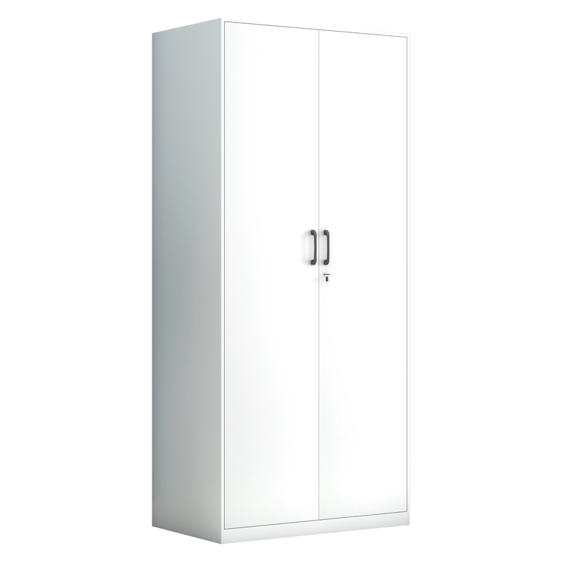 臻远学校冷轧钢板双门阳台柜