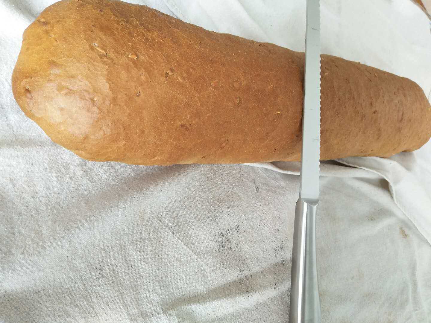 锯齿面包刀400系列不锈钢卫生容易清洁专业Bread knife