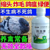 鸽温康鸽子养殖专用植物提取添加剂