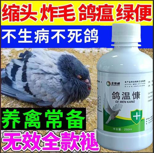 鸽温康鸽子养殖专用植物提取添加剂