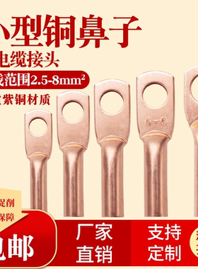 DT2.5 4 6平铜鼻子孔4 6 8DTG小平方铜鼻子接线端子线头线耳紫铜