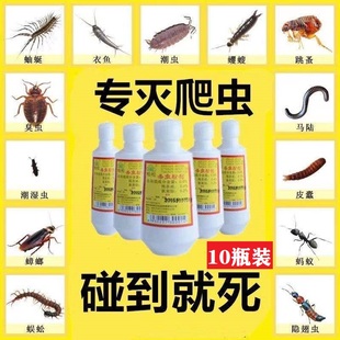 百虫灵杀虫粉灭潮虫虱子蚂蚁蟑螂跳蚤药杀虫剂人用床上家用全窝端