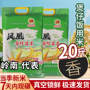 金凤凰玉竹香丝苗米20斤南方大米长粒餐饮店煲仔饭煮饭煮粥米广东